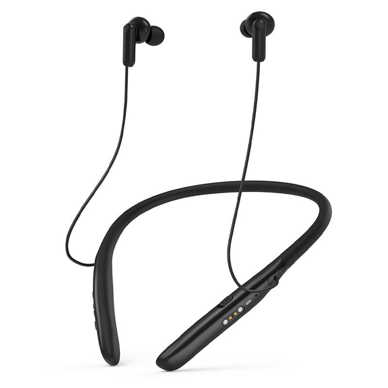 Hearing Aid T01