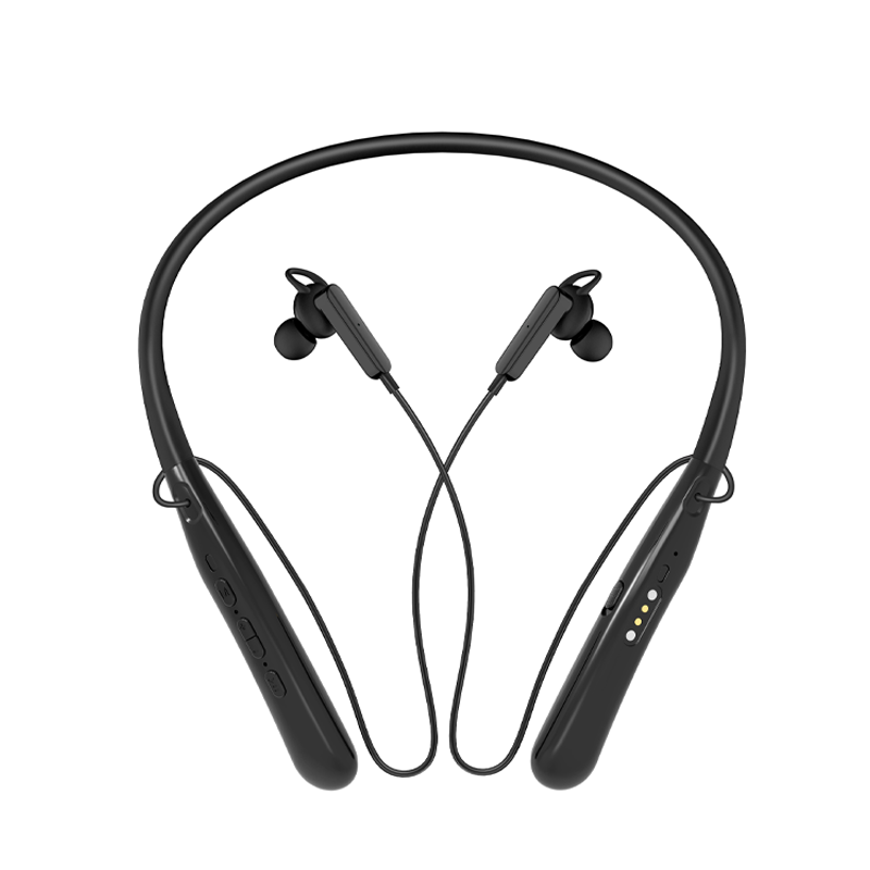 Hearing Aid F306