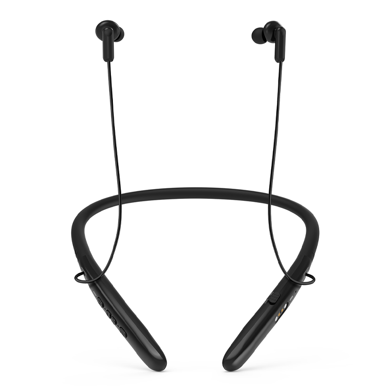 Hearing Aid T01