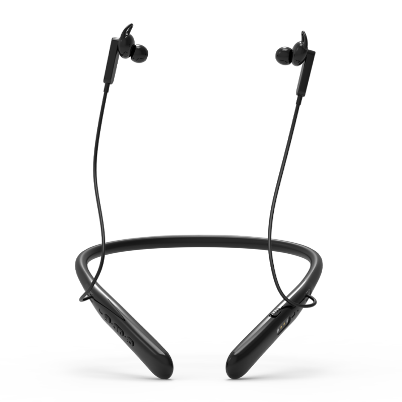 Hearing Aid F306