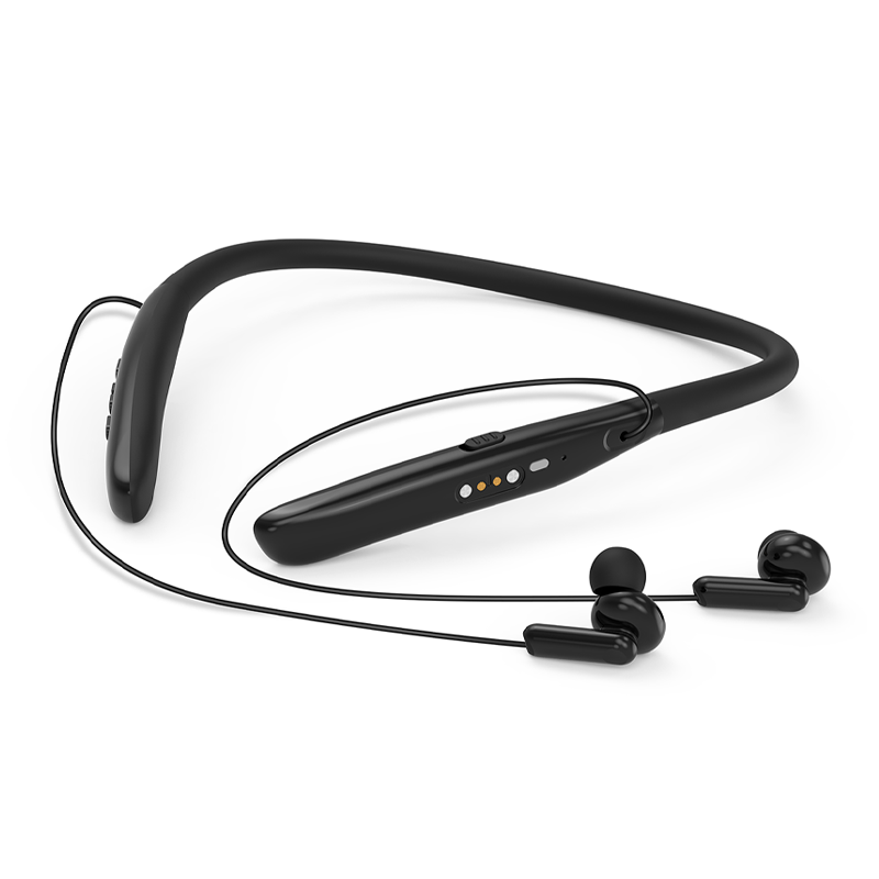 Hearing Aid T01