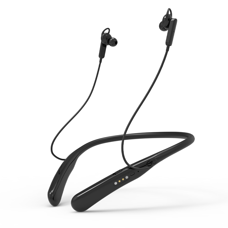 Hearing Aid F306