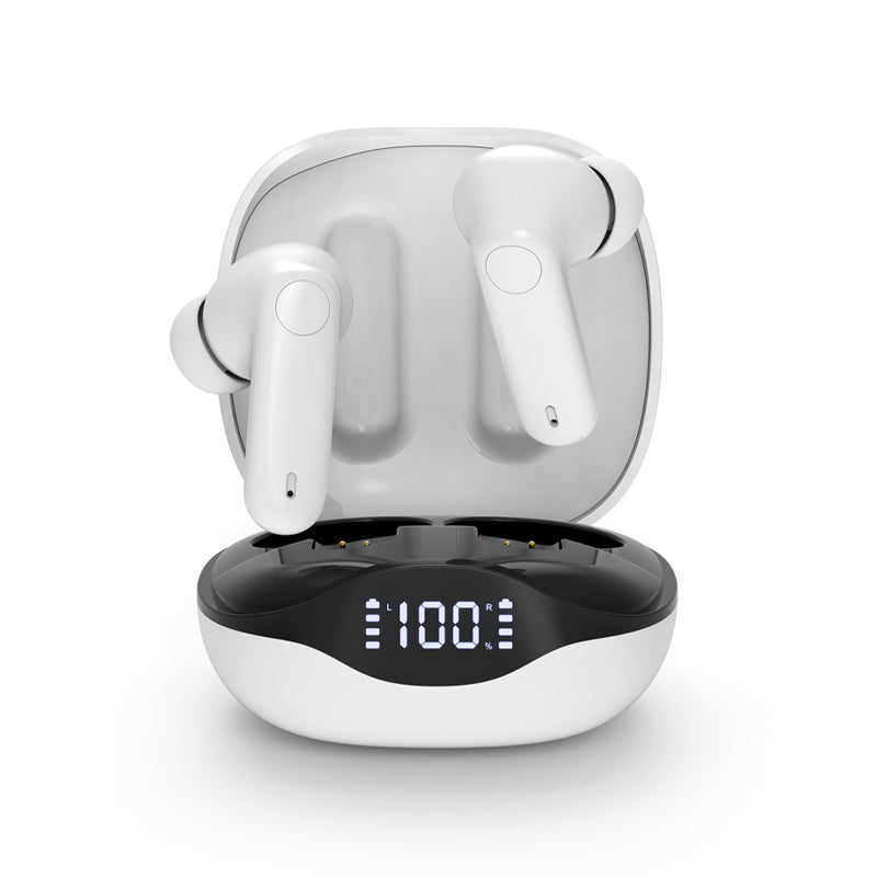 Hearing Aid F332