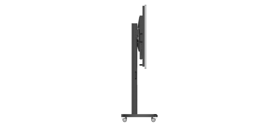 FRadiology Monitor S8420S