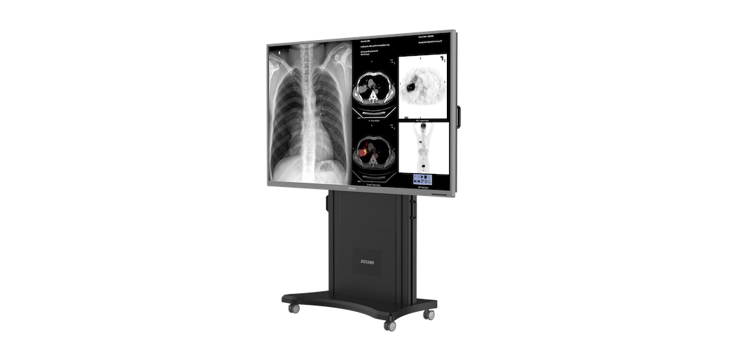 FRadiology Monitor S8420S