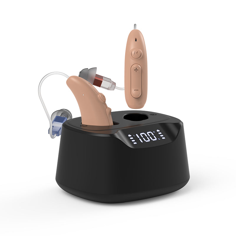 Hearing Aid B501