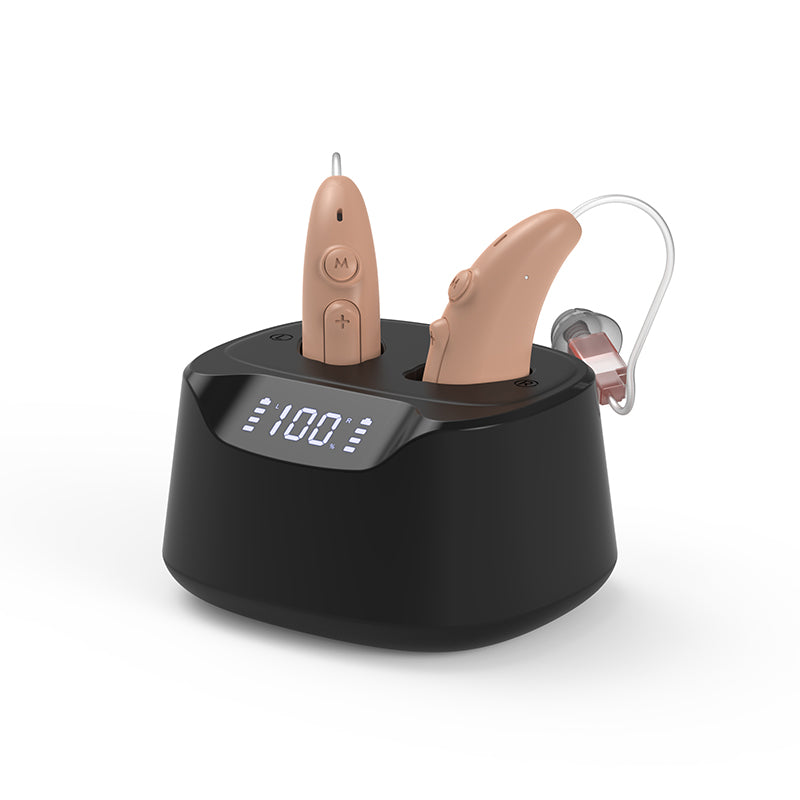 Hearing Aid B501