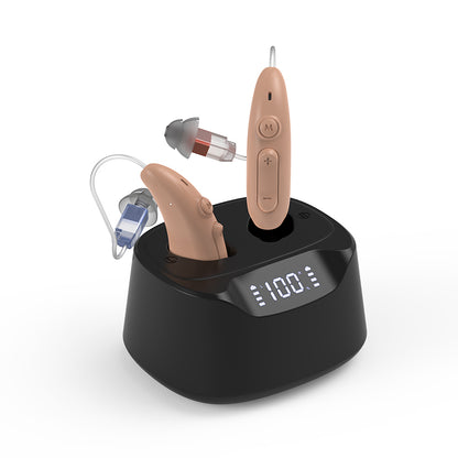 Hearing Aid B501