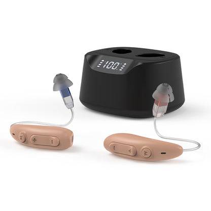 Hearing Aid B501