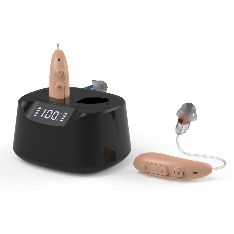 Hearing Aid B501