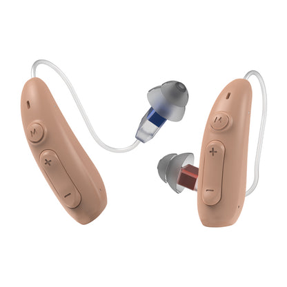 Hearing Aid B501