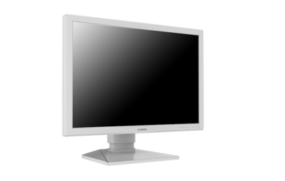 Surgical Monitor E240CG