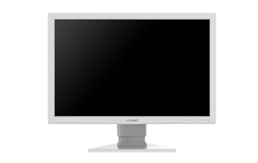 Surgical Monitor E240CG